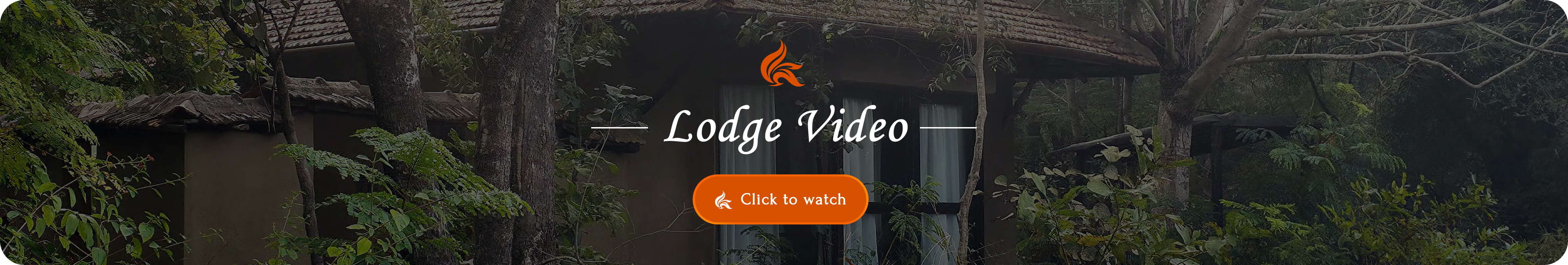 Lodge Video