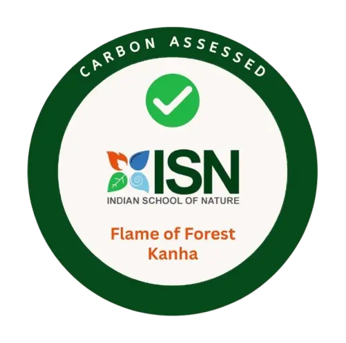 Flame Of The Forest